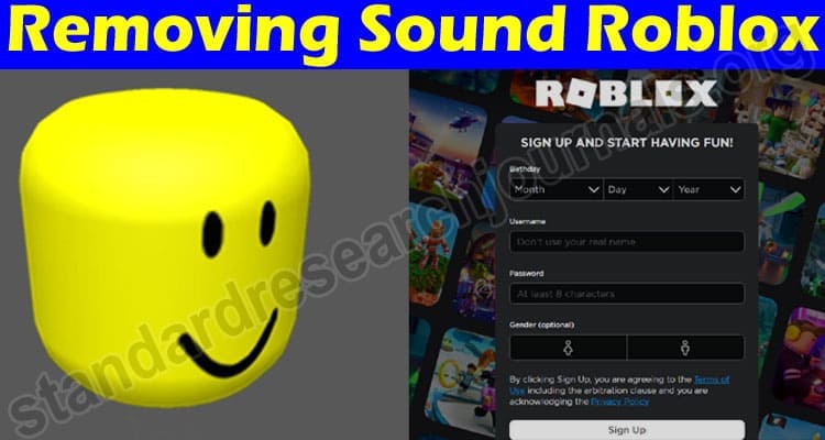Gaming Tips Removing Sound Roblox