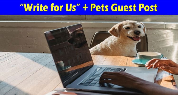 About General Information Write For Us + Pets Guest Post