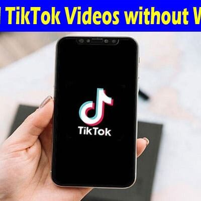 Complete Information About Download TikTok Videos without Watermark using Downloader