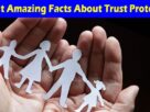 Top 4 Most Amazing Facts About Trust Protectors