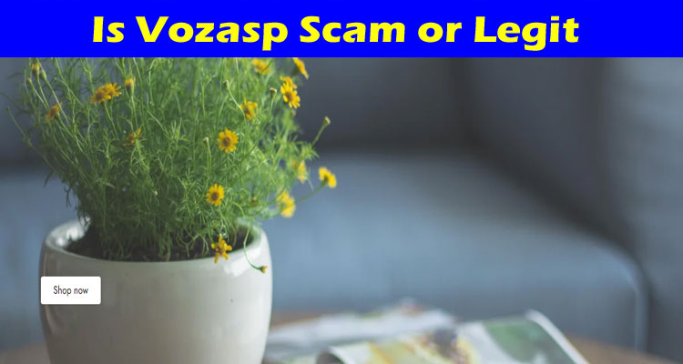 Vozasp online website reviews