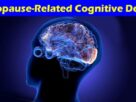 Complete Information About Managing Menopause-Related Cognitive Decline