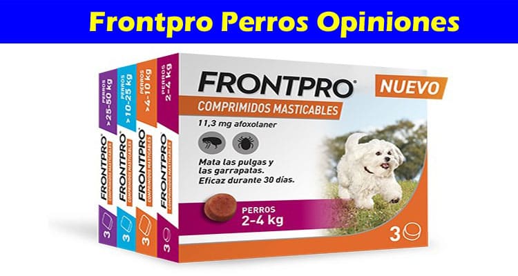 Frontpro Perros Online Opiniones