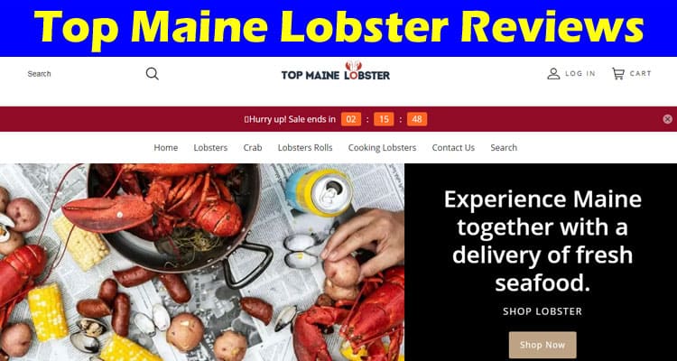 Latest News Top Maine Lobster Reviews